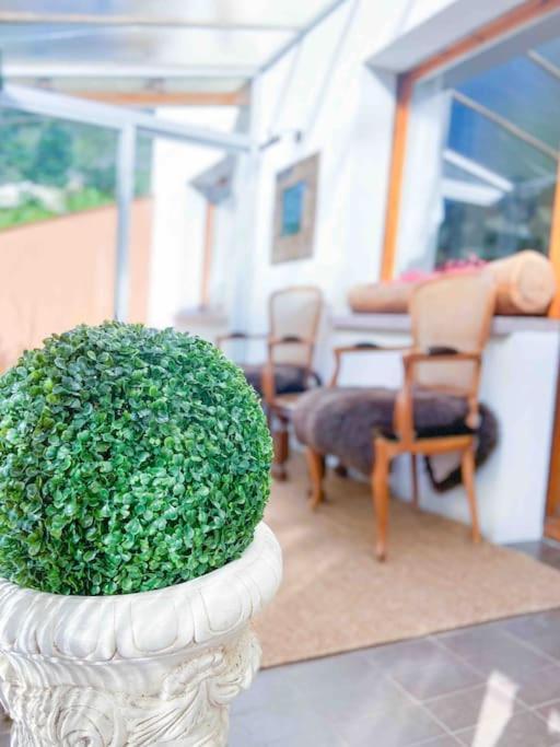 Tipica Casa Andorrana En Encamp L By Bonesvacances エクステリア 写真